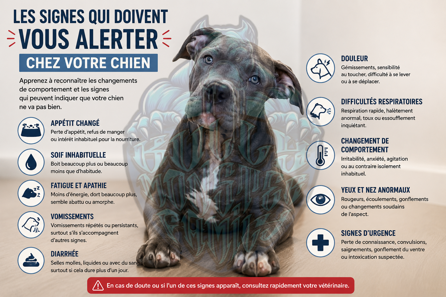 Les signes qui doivent vous alerter chez votre chien : quand consulter rapidement ?